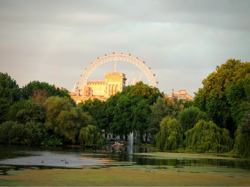 peaceful walk through St. James’s Park offers stunning views of the London Eye – a scenic spot for visitors to relax and enjoy London’s beauty
